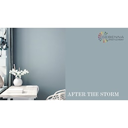 AFTER THE STORM.jpg